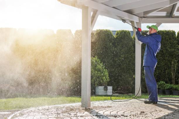 Best Animal Enclosure Cleaning  in Brazoria, TX
